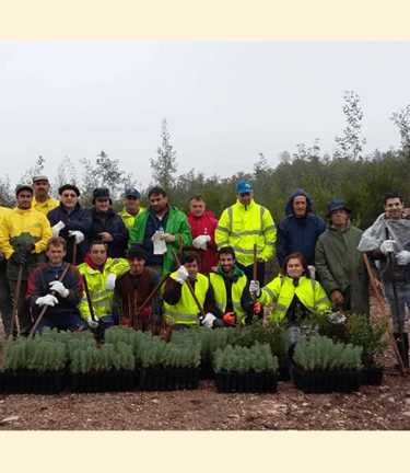 Plantacao Bussaco20171215 102319