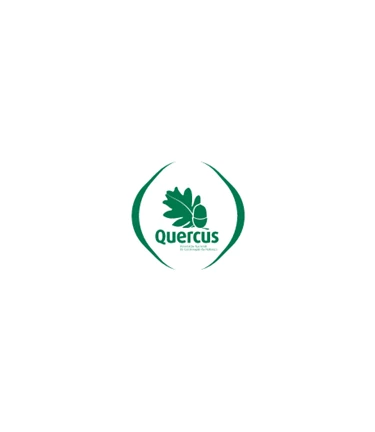 Quercus (1)